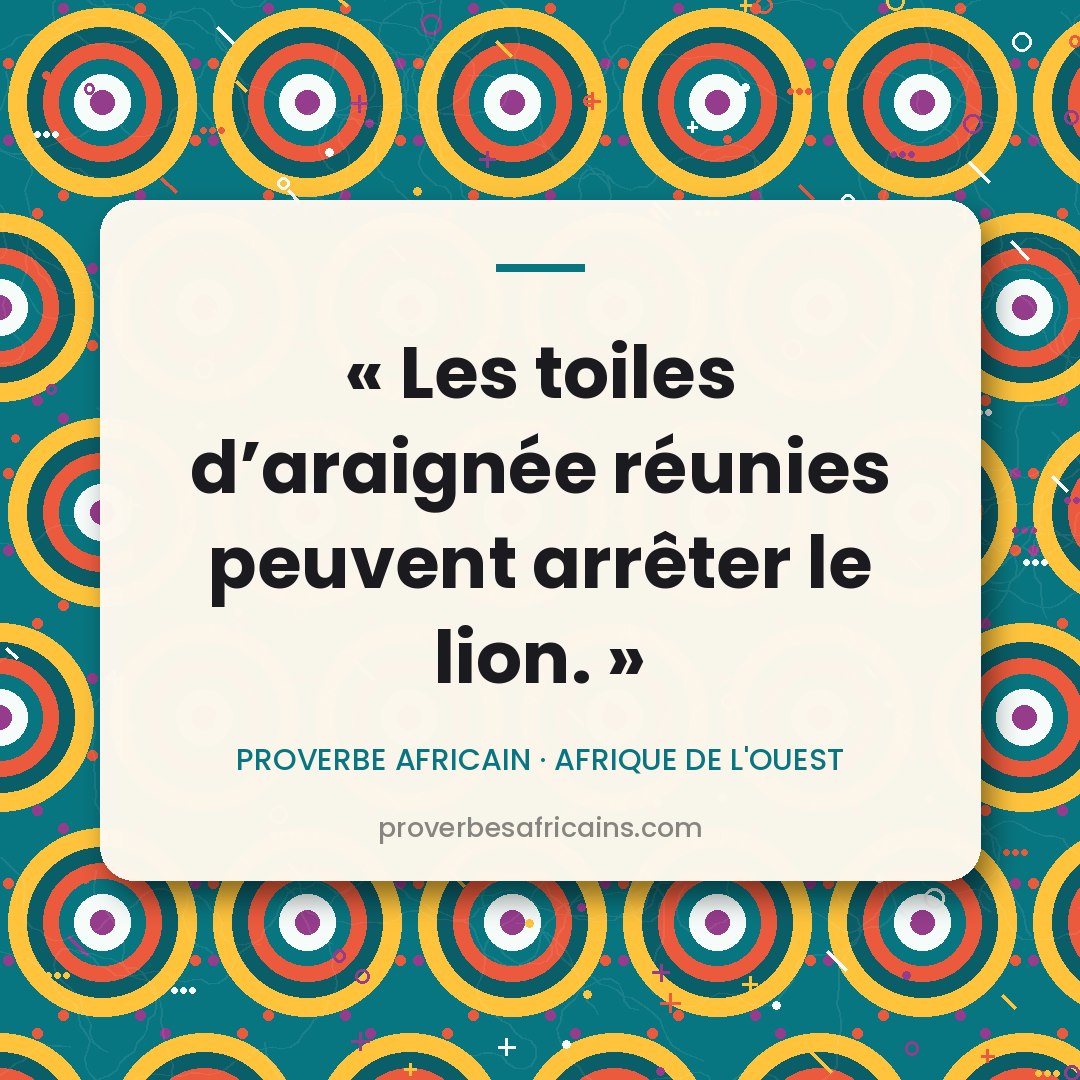 Proverbe africain illustré sur fond wax : « Les toiles d'araignée réunies peuvent arrêter le lion. »