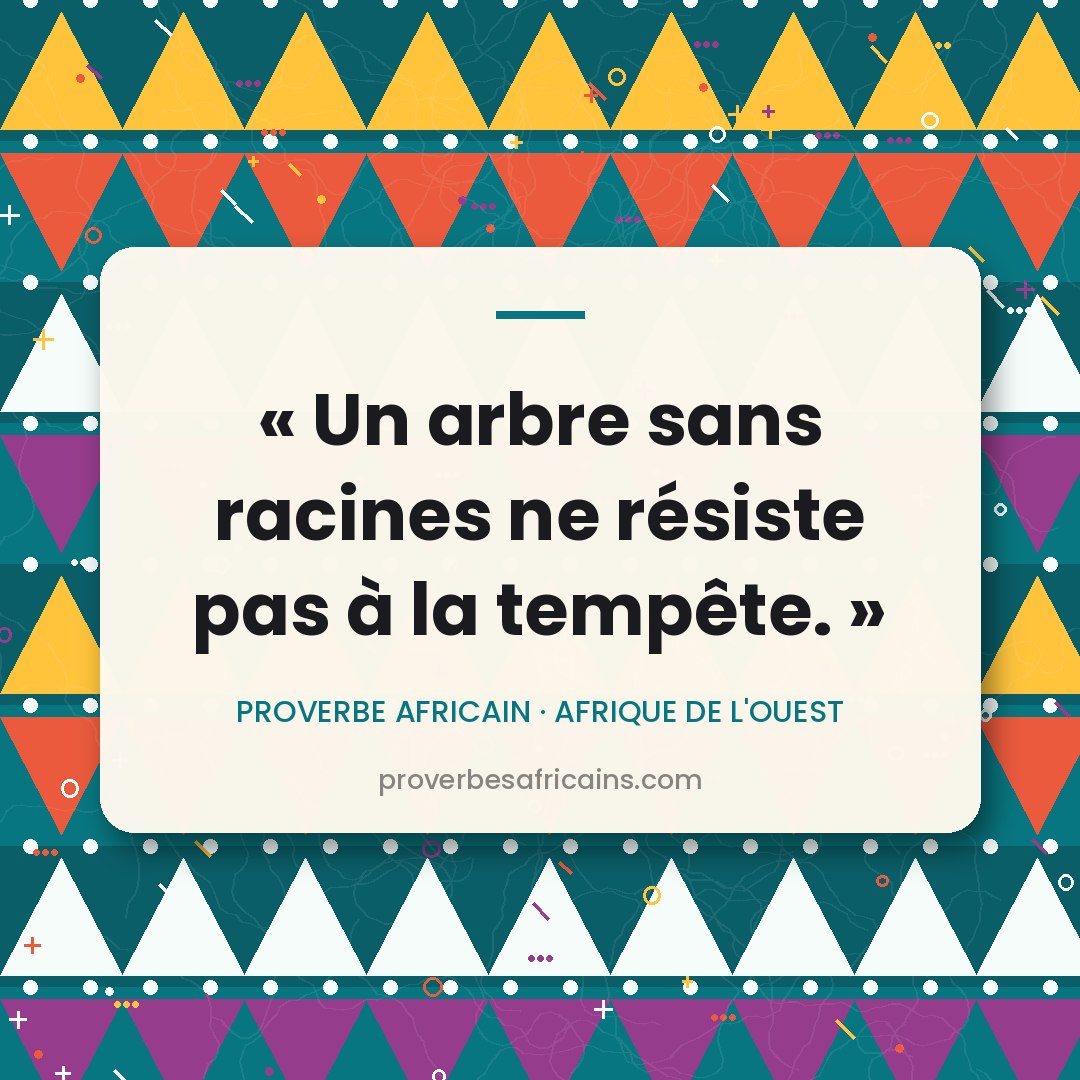 Proverbe africain illustré sur fond wax : « Un arbre sans racines ne résiste pas à la tempête. »