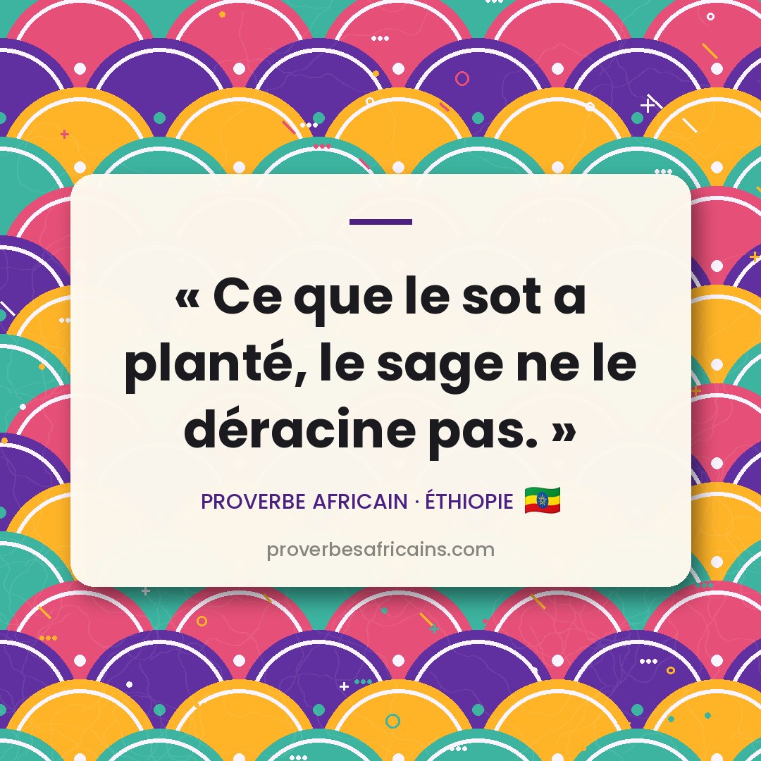 Proverbe africain illustré sur fond wax : « Ce que le sot a planté, le sage ne le déracine pas. »