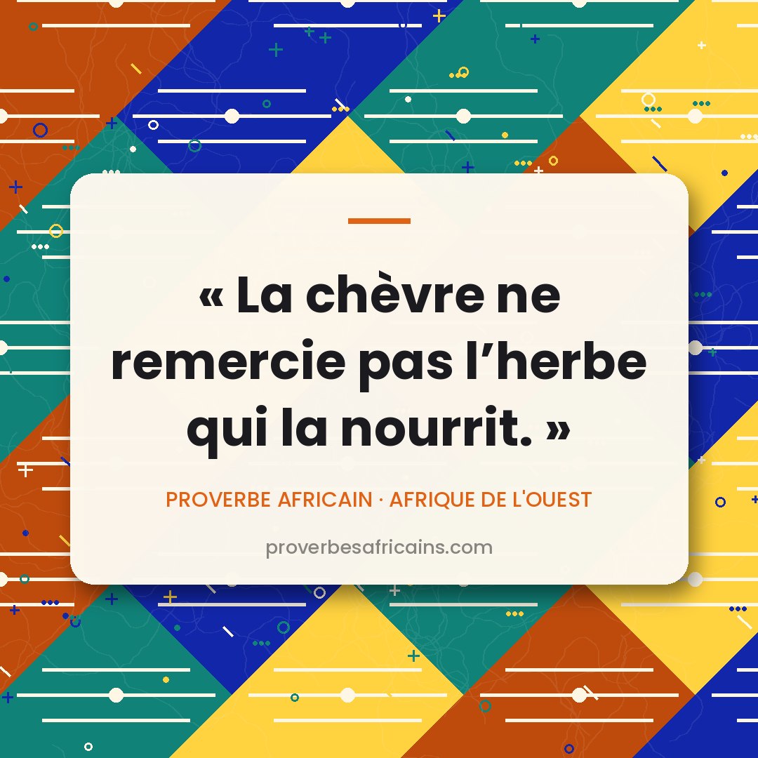 Proverbe africain illustré sur fond wax : « La chèvre ne remercie pas l'herbe qui la nourrit. »