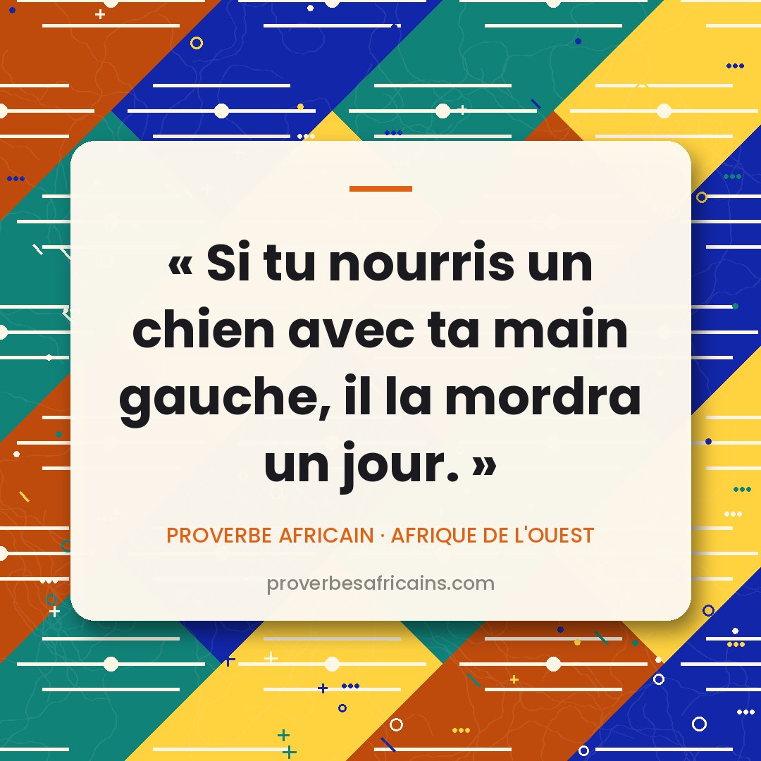 Proverbe africain illustré sur fond wax : « Si tu nourris un chien avec ta main gauche, il la mordra un jour. »