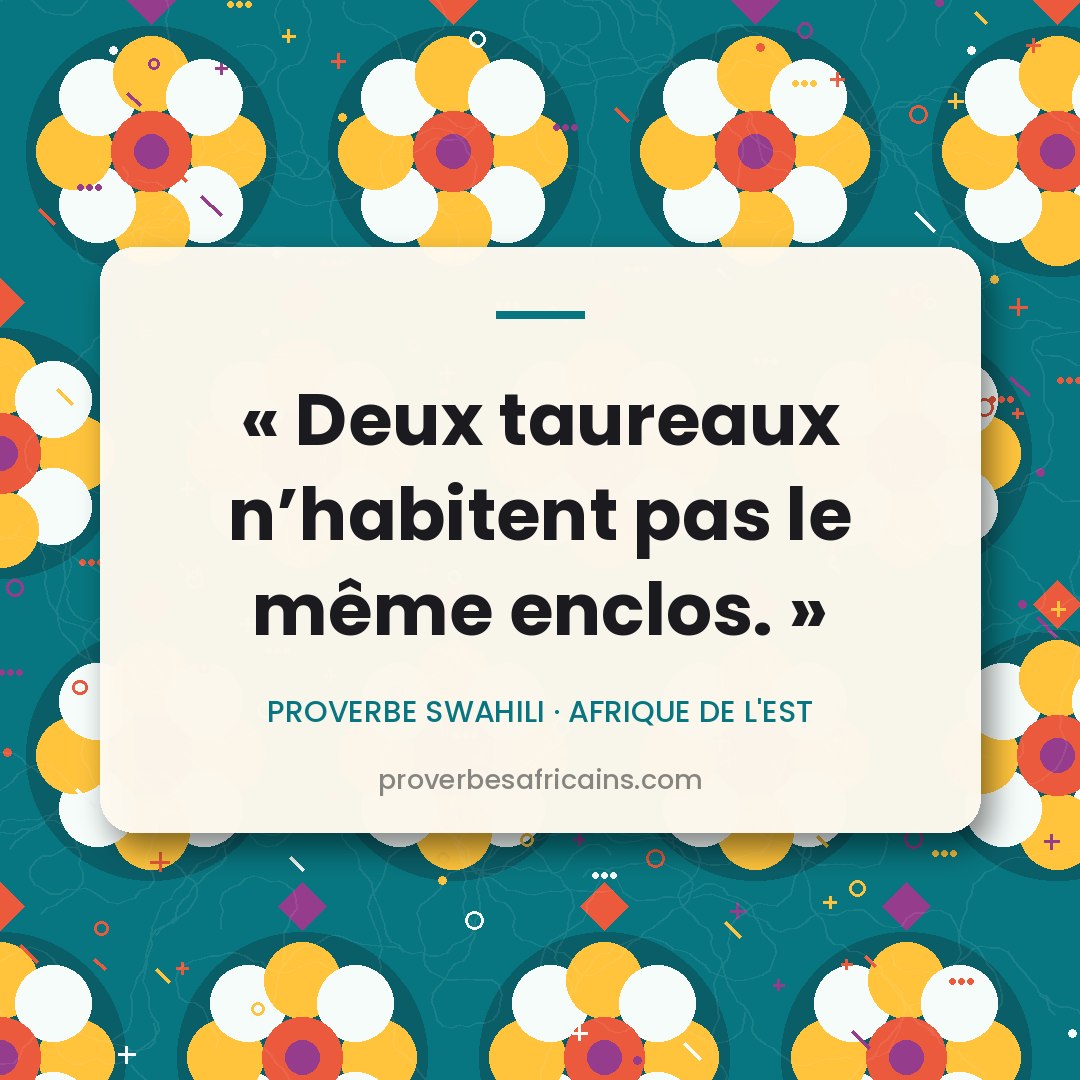 Proverbe africain illustré sur fond wax : « Deux taureaux n'habitent pas le même enclos. »