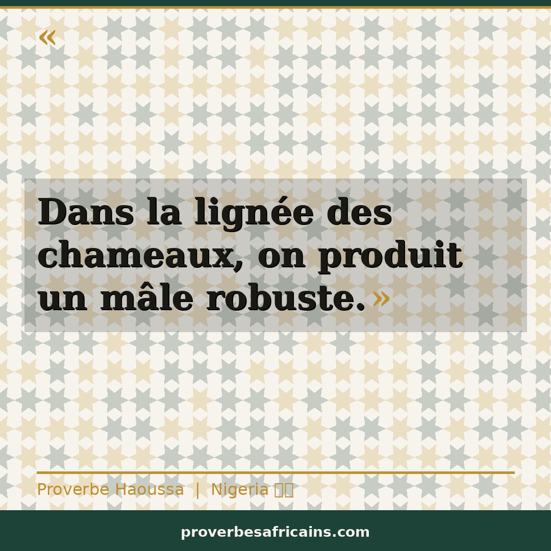 Proverbe africain illustré sur fond wax : « Dans la lignée des chameaux, on produit un mâle robuste. »