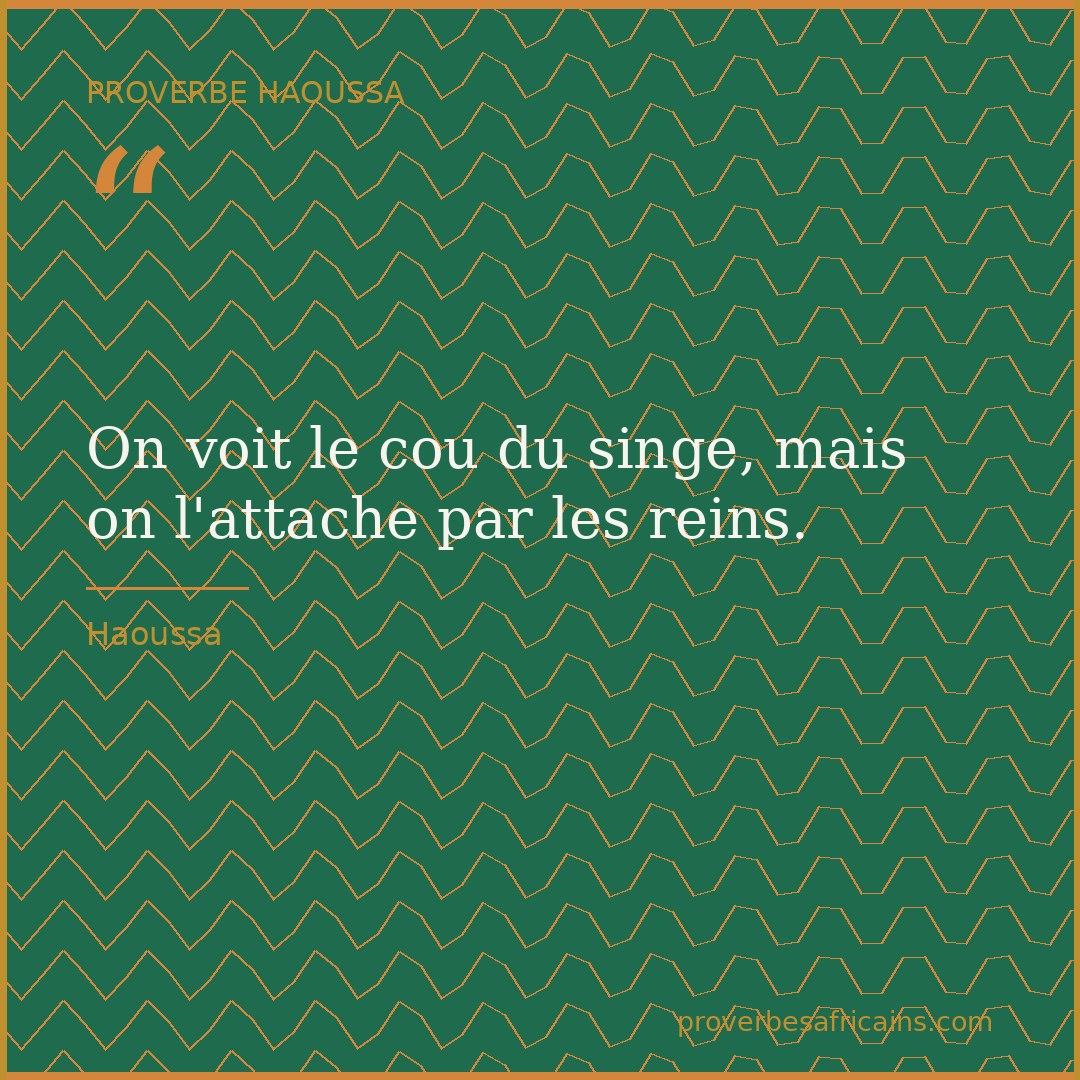 Proverbe africain illustré sur fond wax : « On voit le cou du singe, mais on l'attache par les reins. »