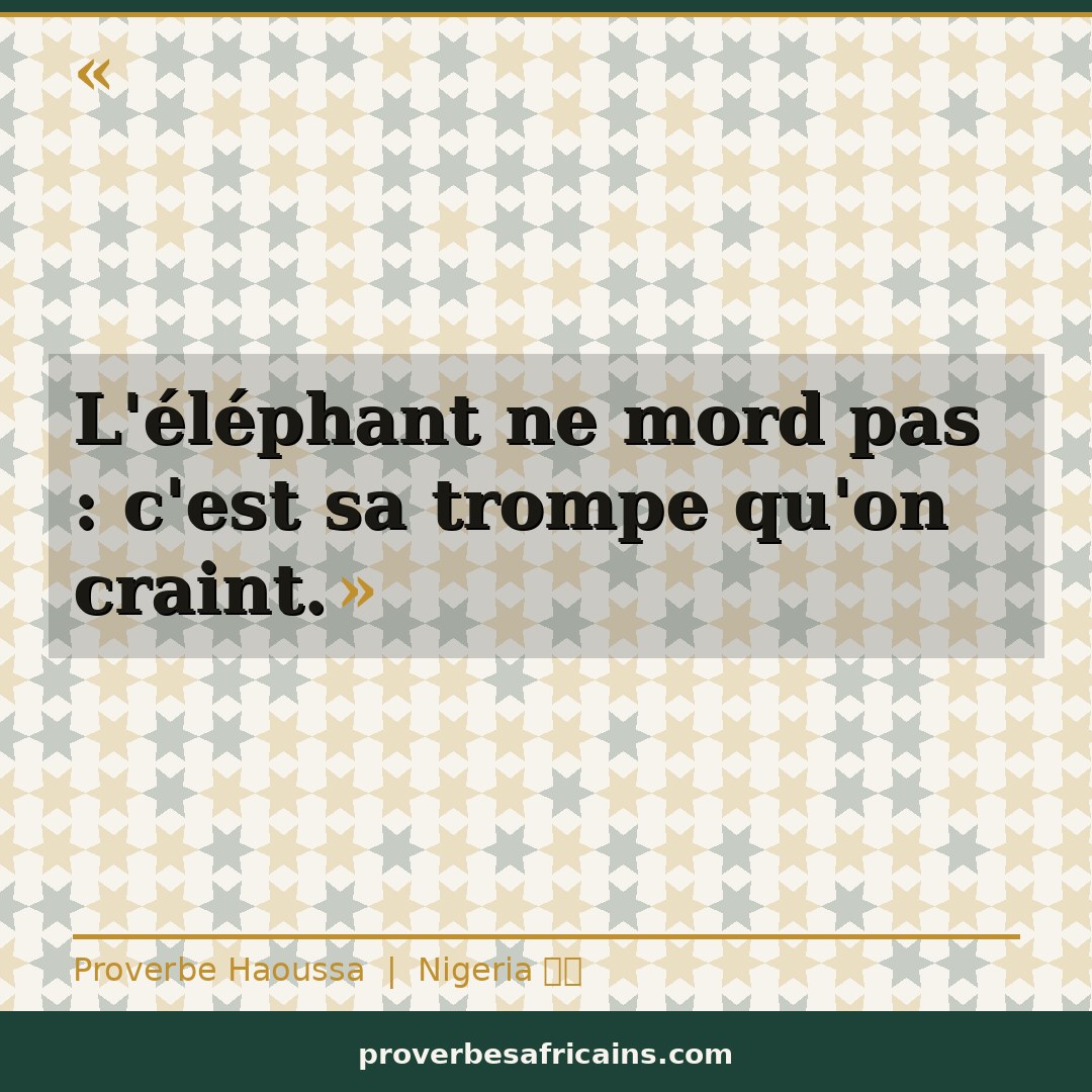 Proverbe africain illustré sur fond wax : « L'éléphant ne mord pas : c'est sa trompe qu'on craint. »