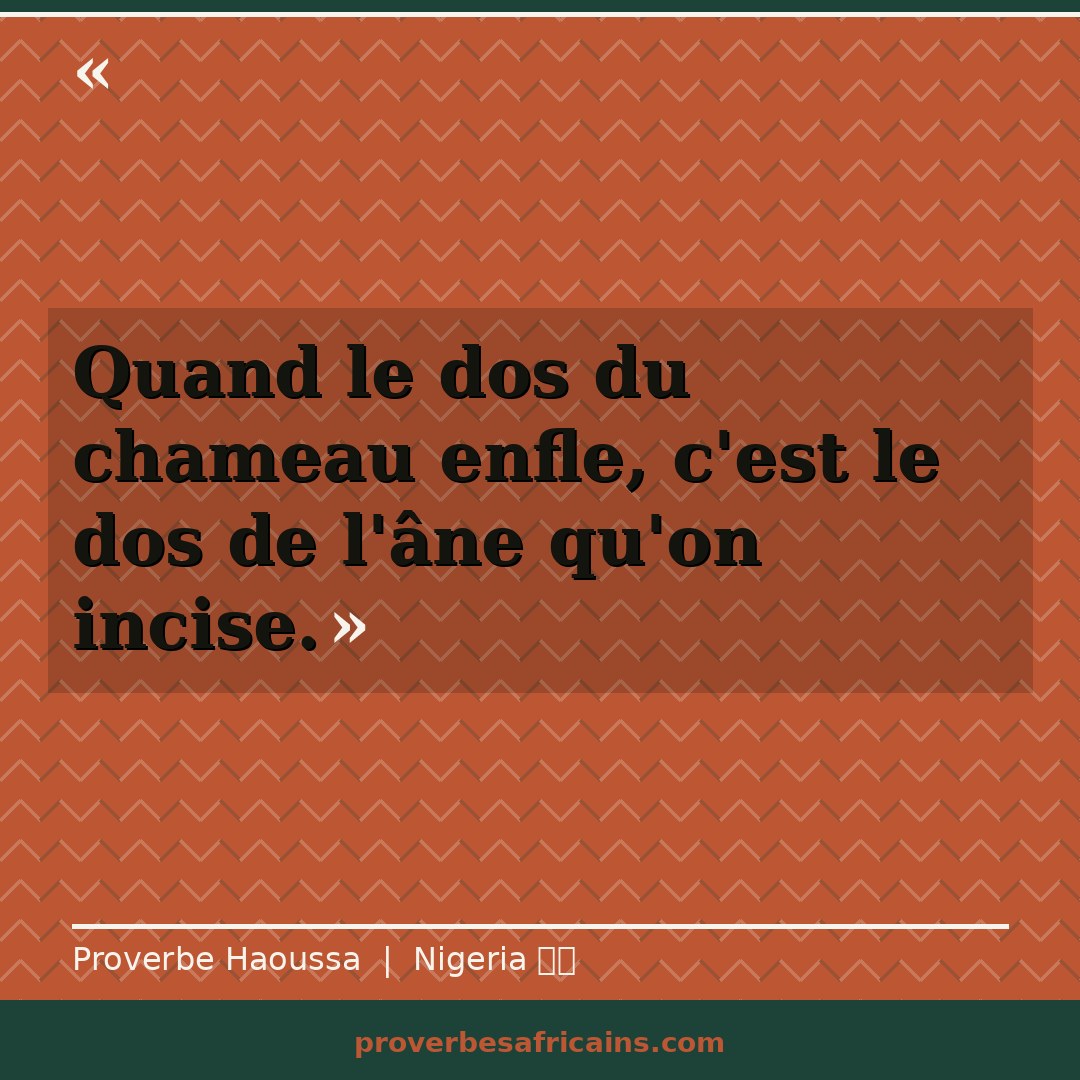 Proverbe africain illustré sur fond wax : « Quand le dos du chameau enfle, c'est le dos de l'âne qu'on incise. »