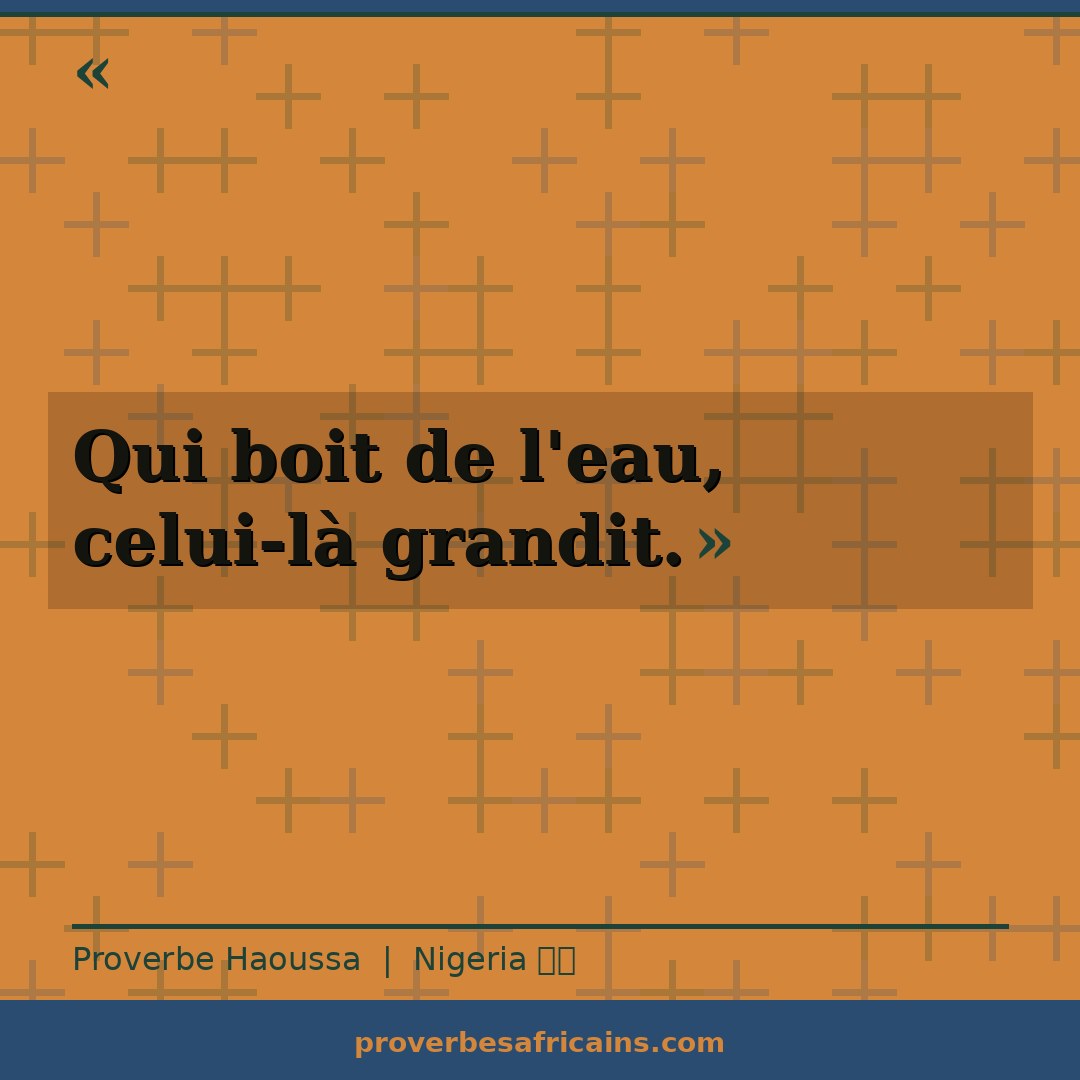 Proverbe africain illustré sur fond wax : « Qui boit de l'eau, celui-là grandit. »