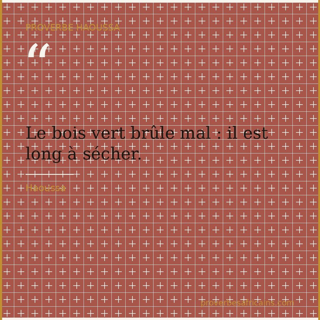 Proverbe africain illustré sur fond wax : « Le bois vert brûle mal : il est long à sécher. »
