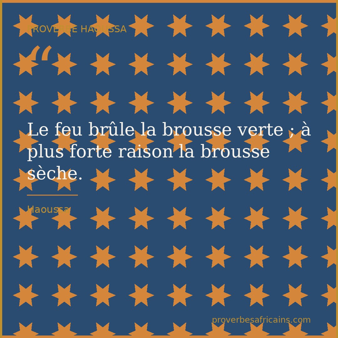 Proverbe africain illustré sur fond wax : « Le feu brûle la brousse verte ; à plus forte raison la brousse sèche. »
