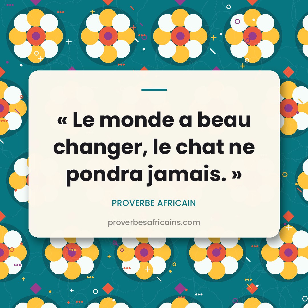 Proverbe africain illustré sur fond wax : « Le monde a beau changer, le chat ne pondra jamais. »