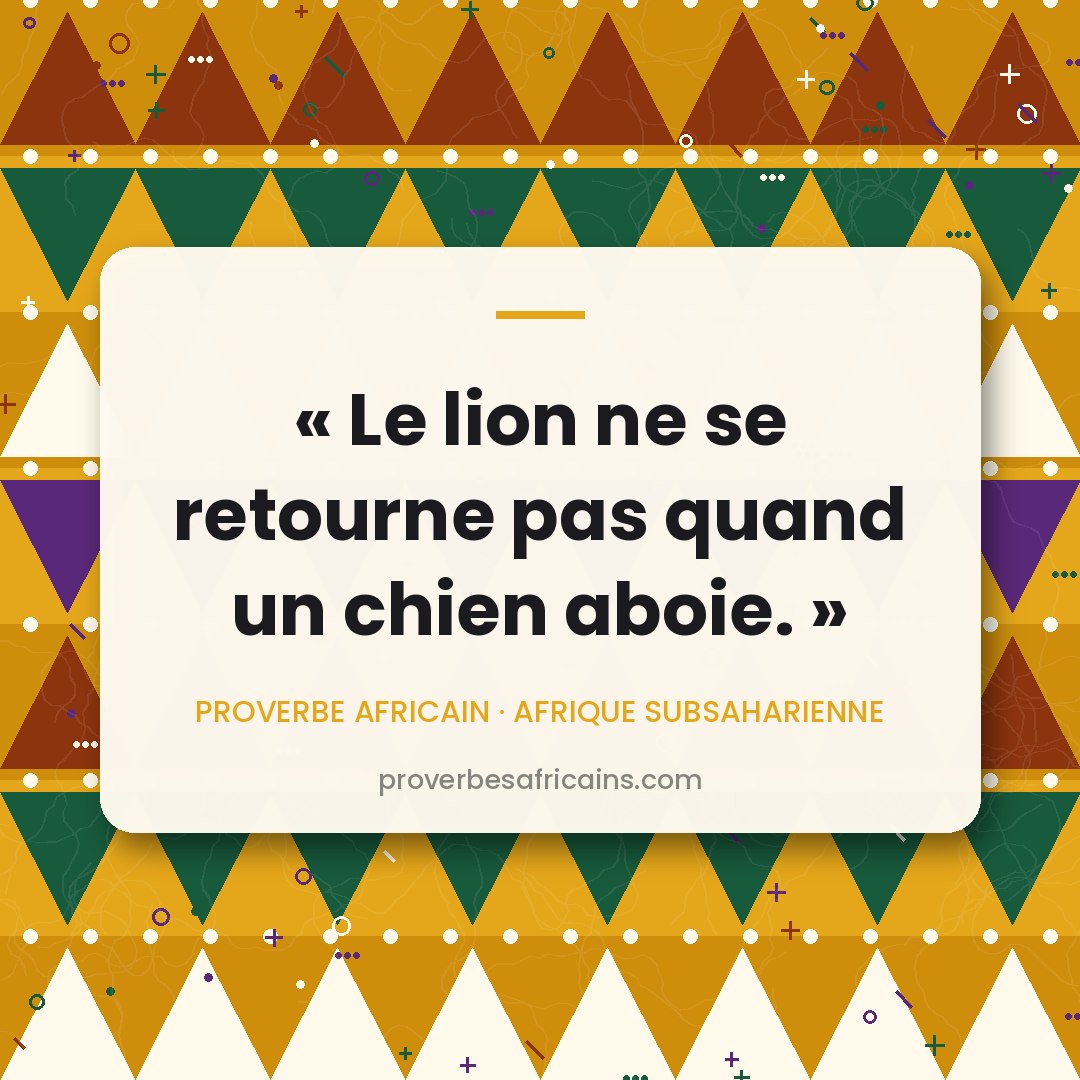 Proverbe africain illustré sur fond wax : « Le lion ne se retourne pas quand un chien aboie. »