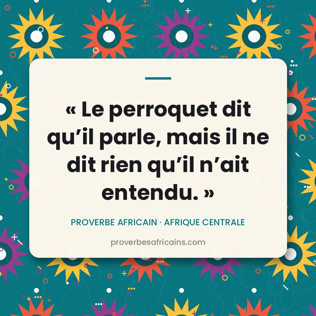 Proverbe africain illustré sur fond wax : « Le perroquet dit qu'il parle, mais il ne dit rien qu'il n'ait entendu. »