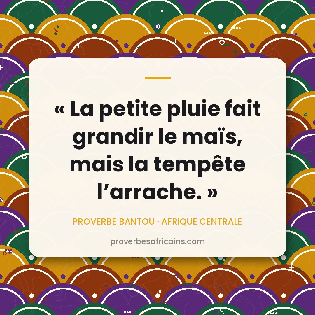 Proverbe africain illustré sur fond wax : « La petite pluie fait grandir le maïs, mais la tempête l'arrache. »