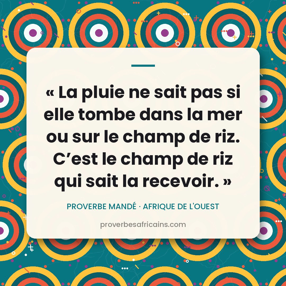 Proverbe africain illustré sur fond wax : « La pluie ne sait pas si elle tombe dans la mer ou sur le champ de riz. C'est le champ de riz qui sait la recevoir. »