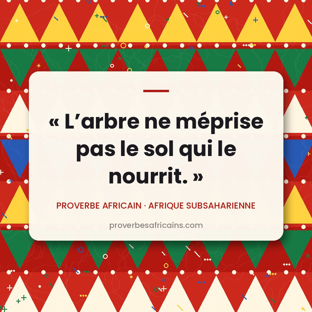 Proverbe africain illustré sur fond wax : « L'arbre ne méprise pas le sol qui le nourrit. »
