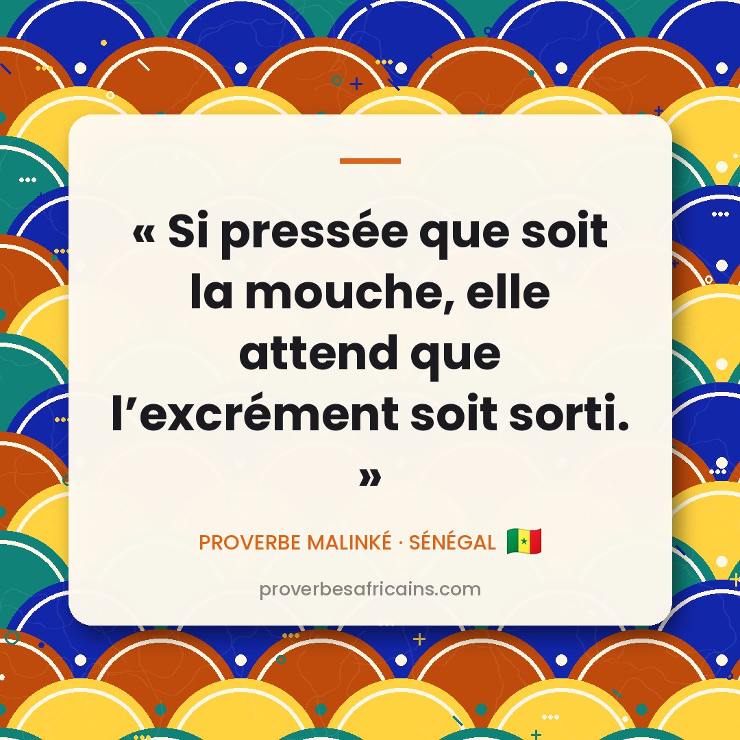 Proverbe africain illustré sur fond wax : « Si pressée que soit la mouche, elle attend que l'excrément soit sorti. »