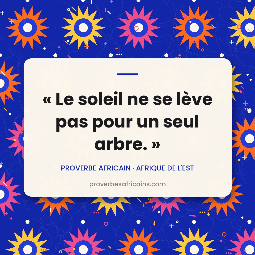 Proverbe africain illustré sur fond wax : « Le soleil ne se lève pas pour un seul arbre. »