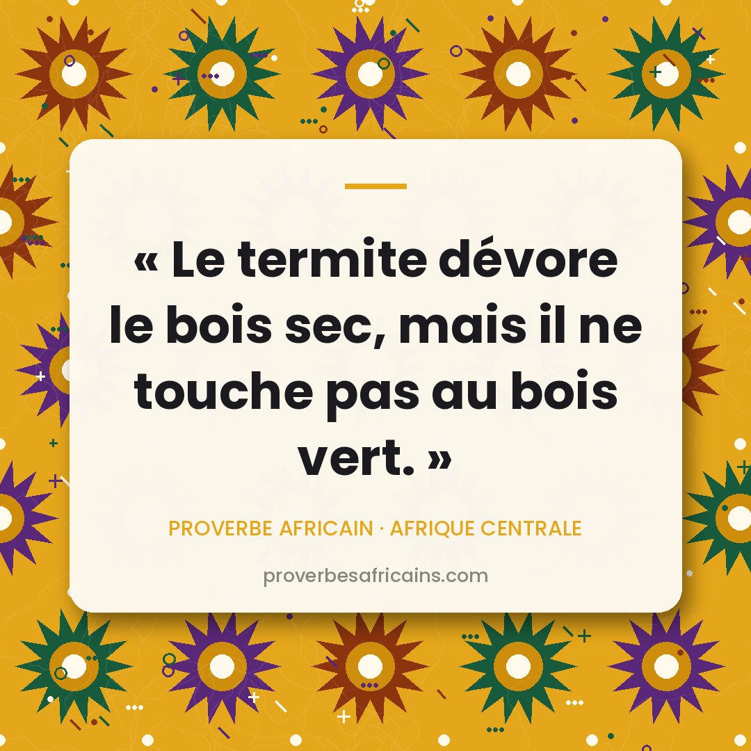 Proverbe africain illustré sur fond wax : « Le termite dévore le bois sec, mais il ne touche pas au bois vert. »