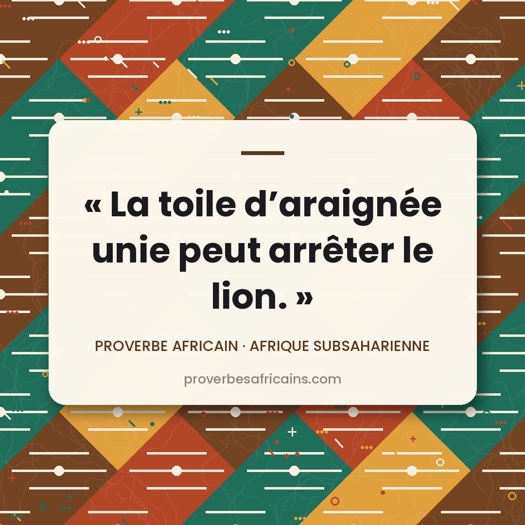 Proverbe africain illustré sur fond wax : « La toile d'araignée unie peut arrêter le lion. »
