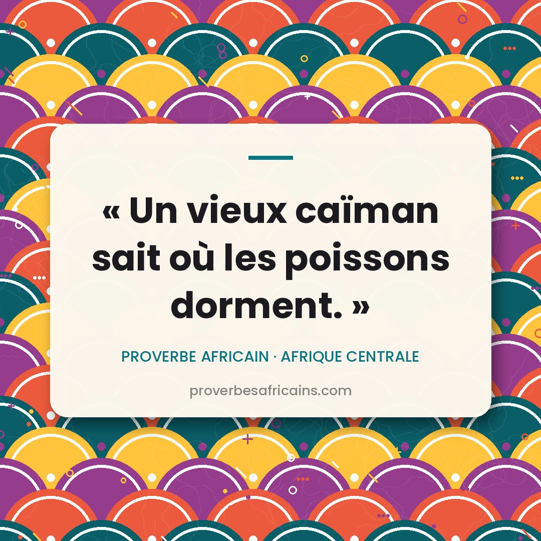 Proverbe africain illustré sur fond wax : « Un vieux caïman sait où les poissons dorment. »